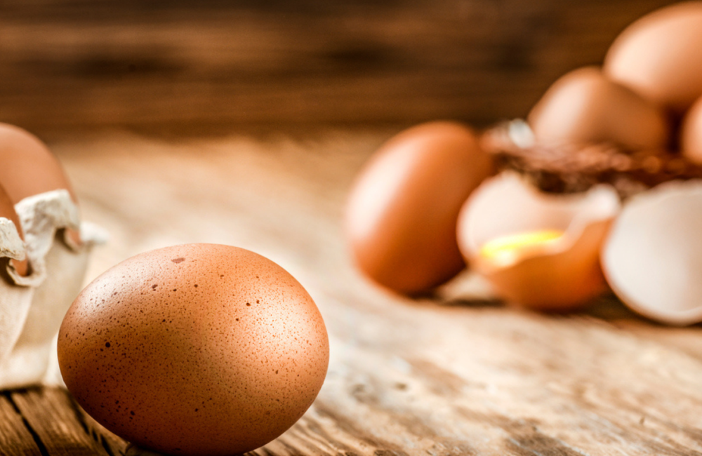 Imagem - Ovos: Um Alimento Rico e Variado